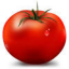 Tomato 固件官网 – Tomato Phoneix不死鸟官方网站|Tomato番茄固件