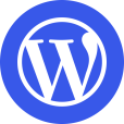 WordPress 主题 | 数千个选项适用于所有 WordPress 站点
